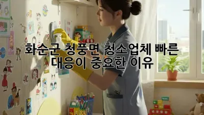 화순군 청풍면 청소업체, 빠른 대응이 중요한 이유!