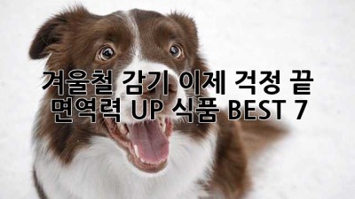 겨울철 감기, 이제 걱정 끝! 면역력 UP 식품 BEST 7