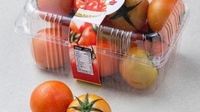 햇살 가득 담은 유기농 완숙 토마토: 맛있게 즐기는 꿀팁 대방출!🍅